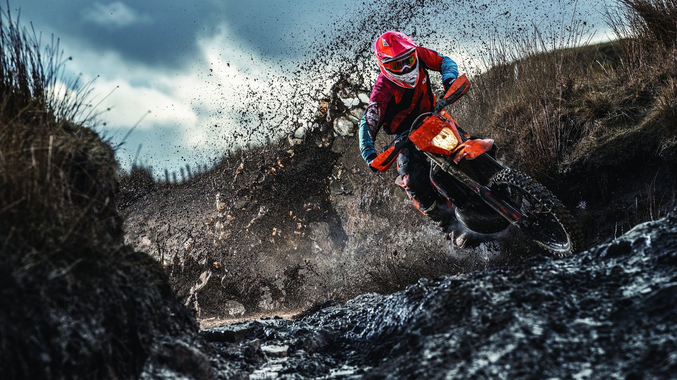 开云电竞在线-【冠军养成记】从青训到世界顶尖，运动员如何利用科学训练？，运动员如何提高训练水平